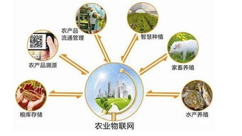 菜市場農(nóng)產(chǎn)品追溯系統(tǒng)定制開發(fā) 信息技術(shù)賦能食品安全新生態(tài)