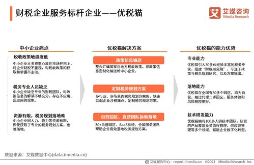 2021上半年中國(guó)財(cái)稅企業(yè)服務(wù)市場(chǎng)洞察 數(shù)字化驅(qū)動(dòng)下的信息咨詢服務(wù)新格局