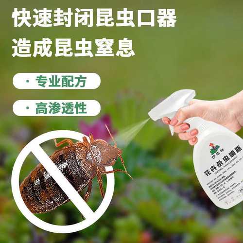 用對(duì)“護(hù)花神”，巧治家養(yǎng)花卉常見蟲害 蚜蟲、蚧殼蟲與小黑飛全攻略