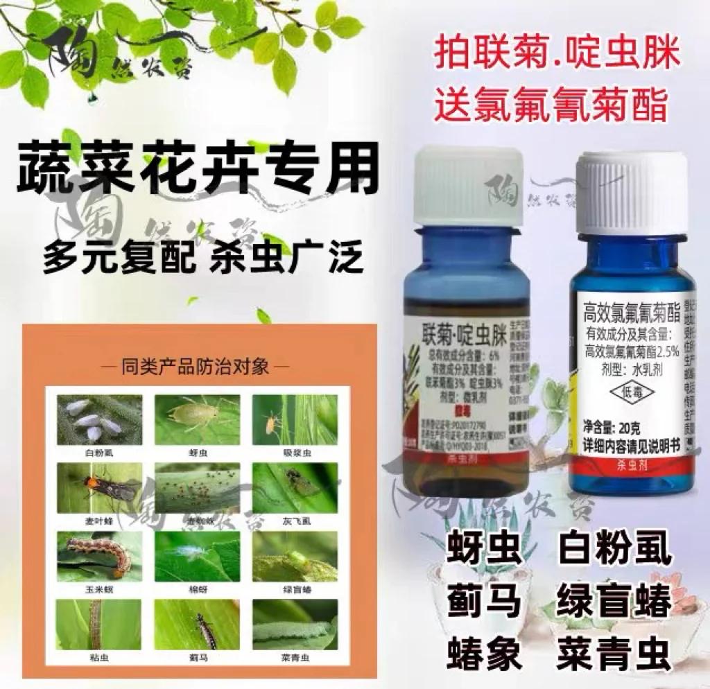 薊馬防治指南 輕松應(yīng)對(duì)植物蟲害！