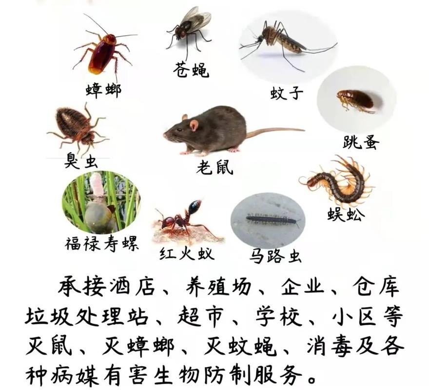 守護家人健康 為什么會選擇成都東部新區這家專業蟲害防治公司？