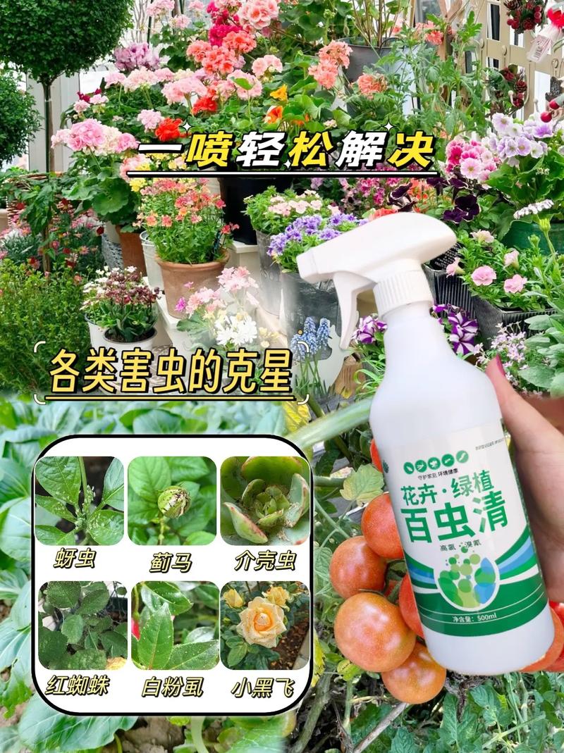 病蟲害防治 家里有瓜果蔬菜花卉綠植的,用上這款百蟲清實在是