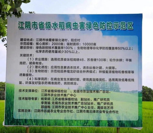 江陰市農(nóng)業(yè)農(nóng)村局 精準(zhǔn)施策，扎實(shí)做好水稻穗期病蟲害防治工作