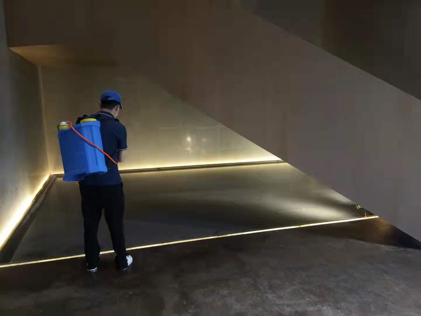 西安白蟻防治 萬(wàn)徑滅白蟻，穩(wěn)健之力解蟲患